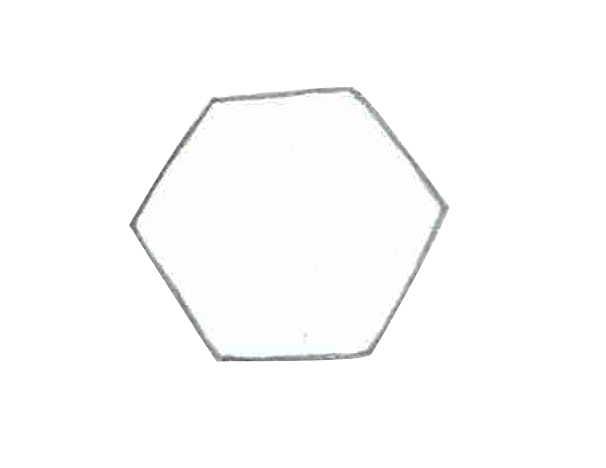 白の六角形